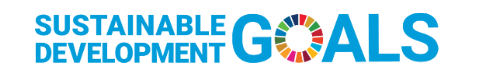 SDG logo