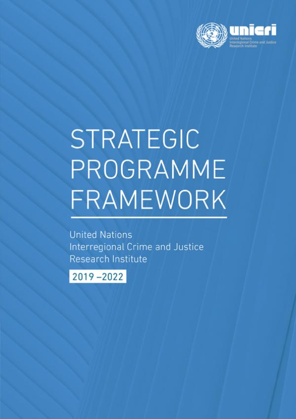 Strategic Programme Framework