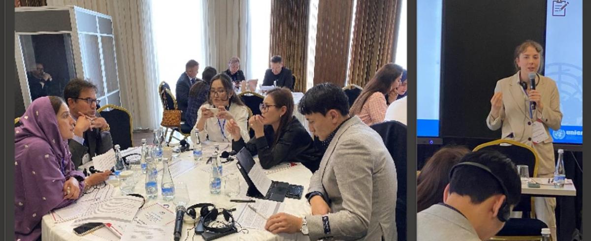 UNICRI Conducted Training on Media Engagement and Tackling Disinformation During Mass Gatherings for Central Asia    