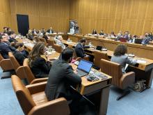 IAEA, UNICRI propose cooperation platform on using nuclear techniques to combat illicit trafficking in cultural goods