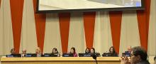 ECOSOC UNICRI event