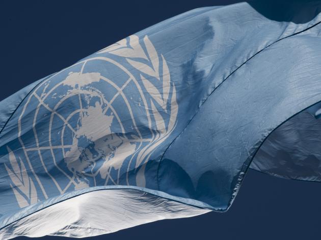 UN Flag