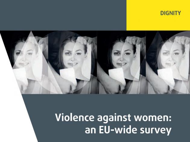 FRA Survey on violence against women