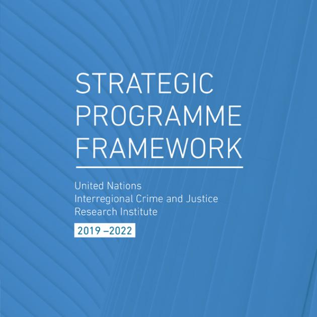 Strategic Programme Framework