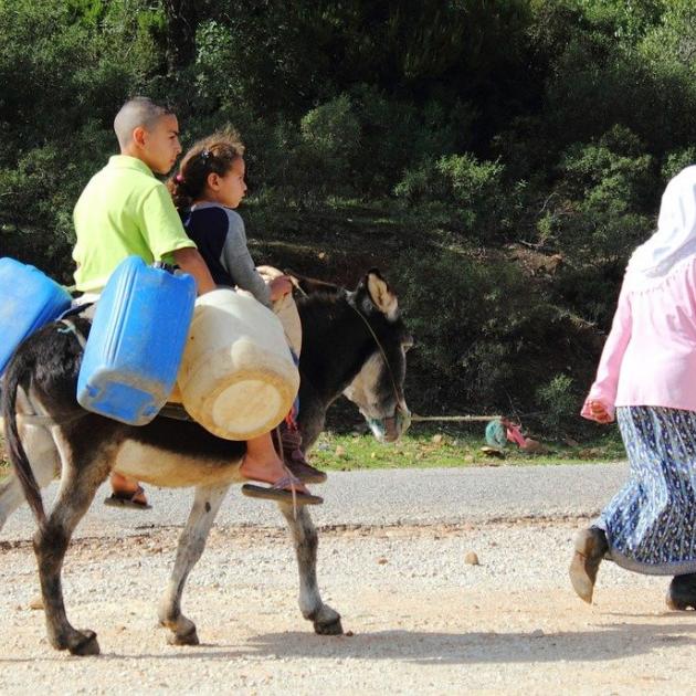 Tunisia 