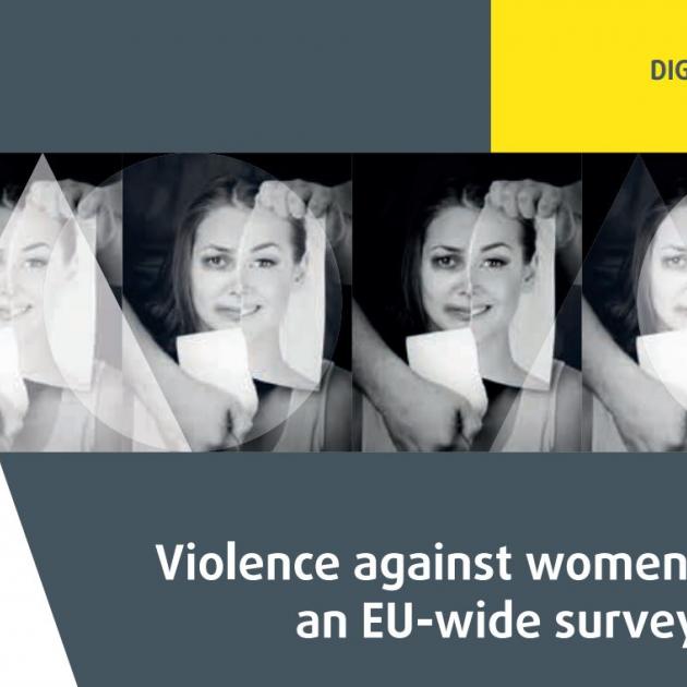 FRA Survey on violence against women