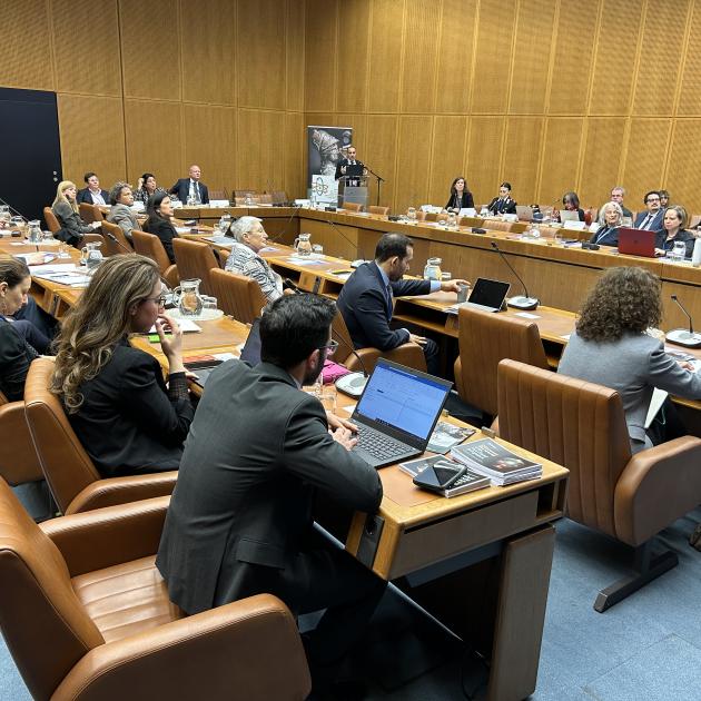 IAEA, UNICRI propose cooperation platform on using nuclear techniques to combat illicit trafficking in cultural goods